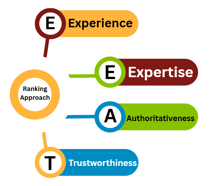 SEO Expert