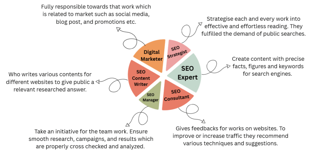 SEO Expert